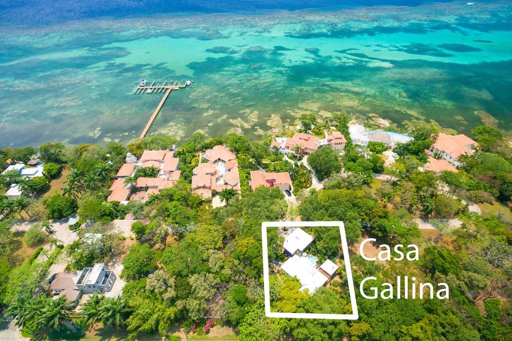 Casa Gallina Sandy Bay Екстер'єр фото